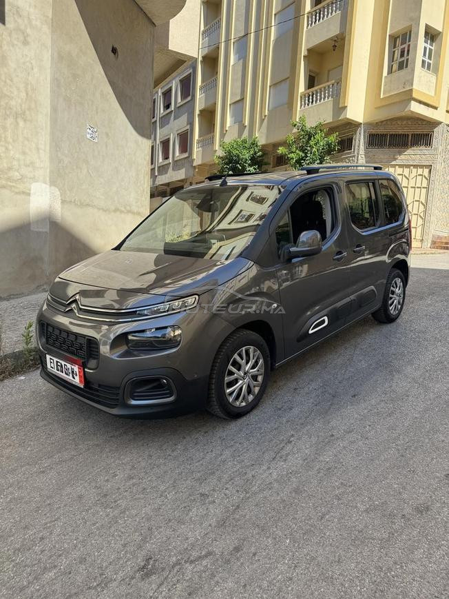 Berlingo douane