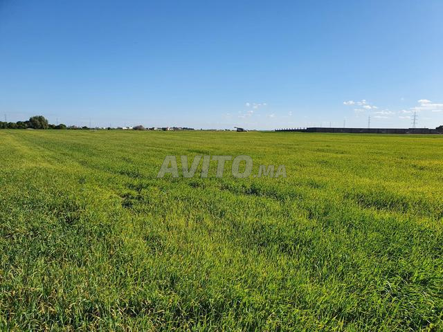 Terrain agricole