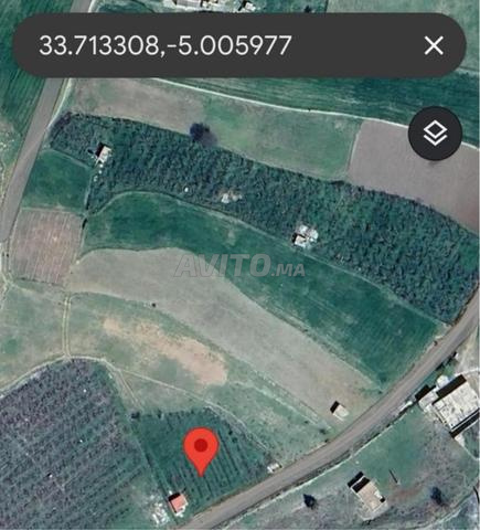 Terrain de 1 169 m² à vendre – Proche d'Aïn Sultan
