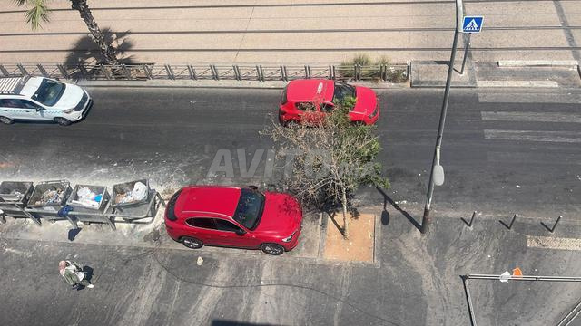 ستلفيو هوت جام «أفضل ستلفيو - 2