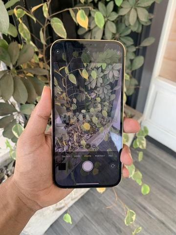iPhone 12 Pro Max 256 Go - 2