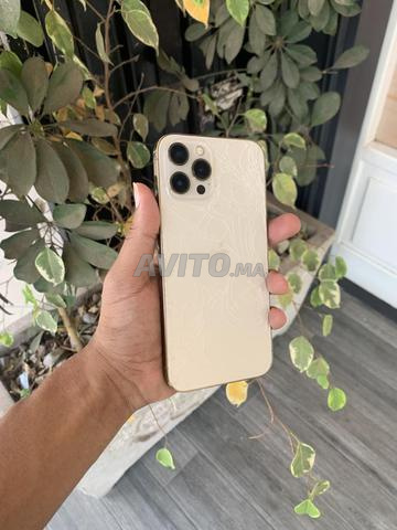 iPhone 12 Pro Max 256 Go