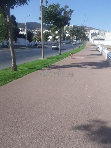 تطوان الحمامة - 2