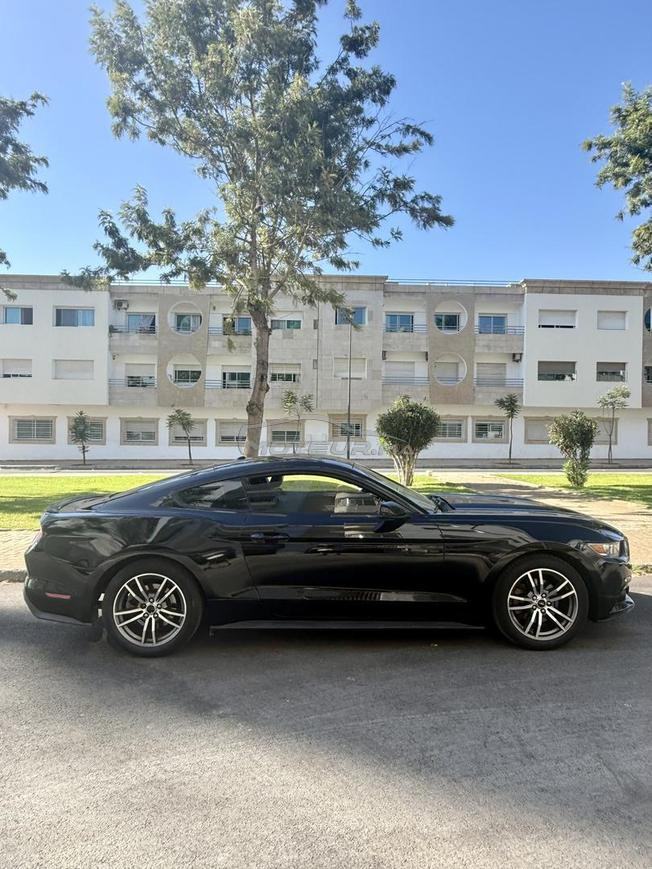 Mustang stage2