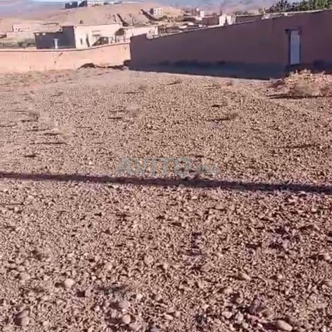 بقعة أرضية أيت بوحدو للبيع 2100 م2 - 2