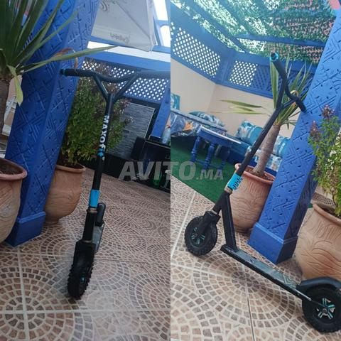 بروتينات عادية للبيع للتواصل