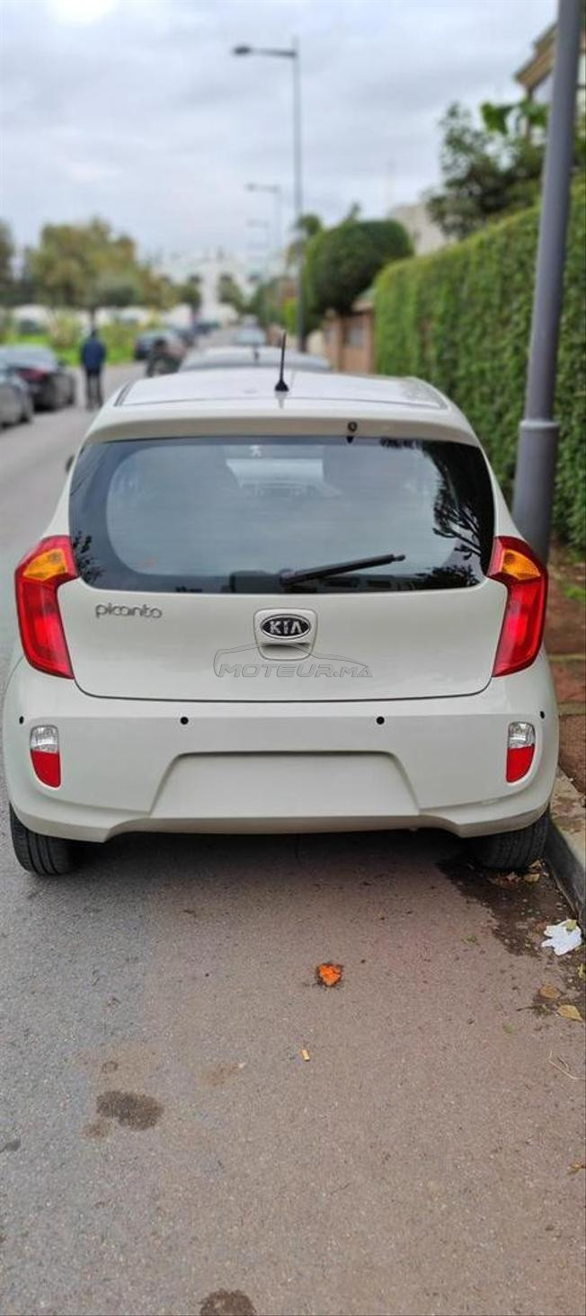 kia picanto 