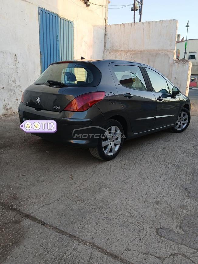 308 dizal totoptoin
