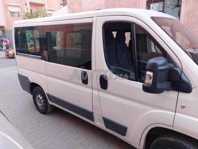 فيات دوكاتو