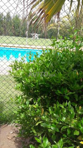 Vacances au calme et piscine privée - 2