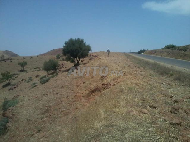 أرض مسجلة على الطريق المعبد للبيع - 2