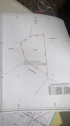 أرض في موقع جيد مولك منطقة فيلا - 2