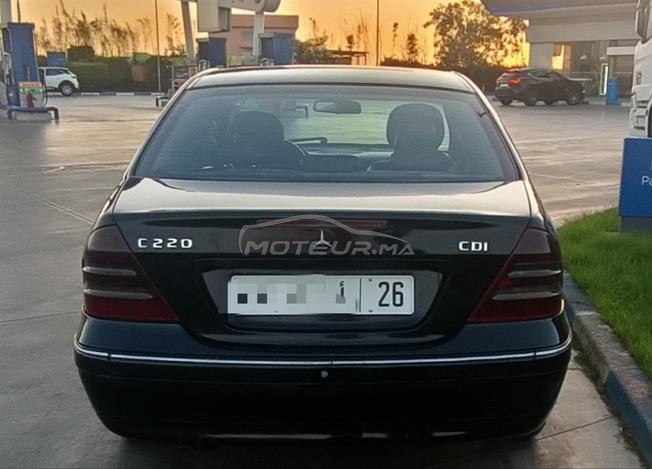مراكش النخيل 