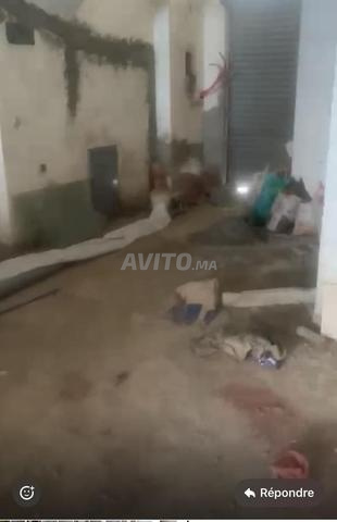 محل تجاري للإيجار