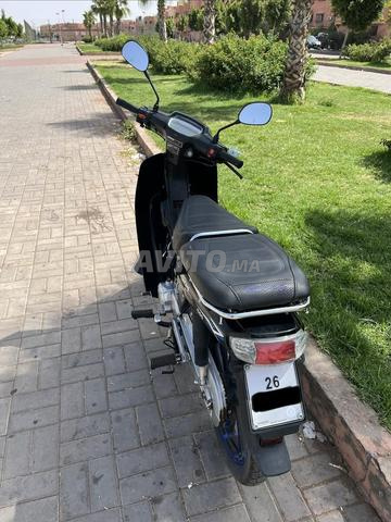 موتور ريف C50، 2024 - 2