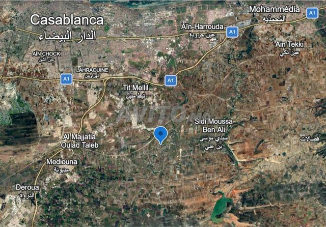 Terrain de 3 hectares titré à Casablanca - 2