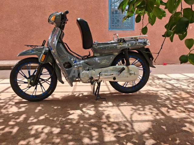 C50 gris nardo - 2