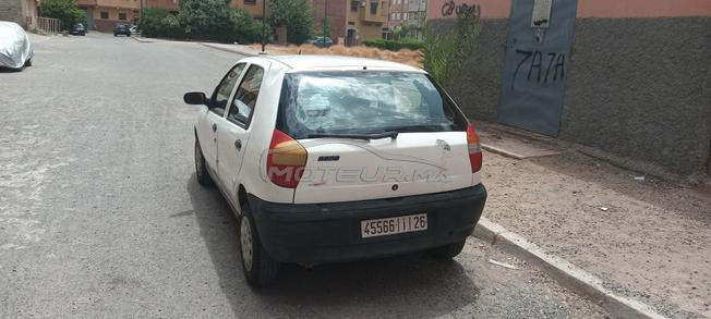 palio essence 