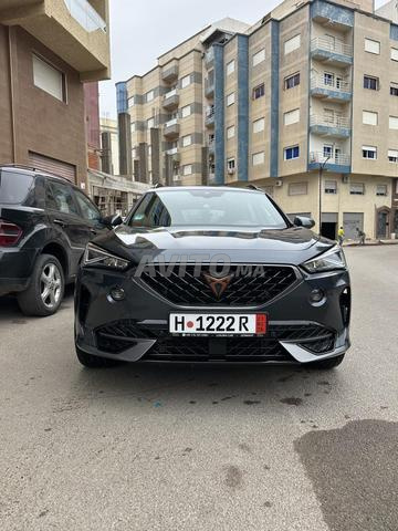 كوبرا فورمنتور - 2