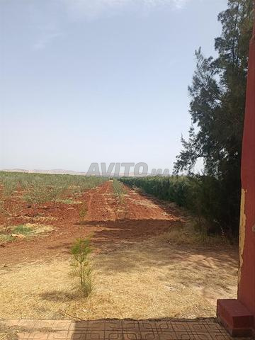 مزرعة للبيع في عين توجطات - 2
