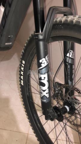 Vélo électrique Focus - 2