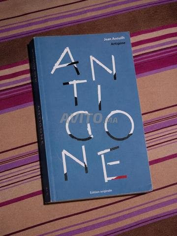 Livre Antigone et l'Oasis des Jacob - 2