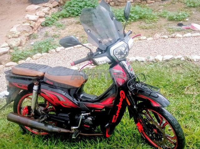 C50 موديل 2022 - 2