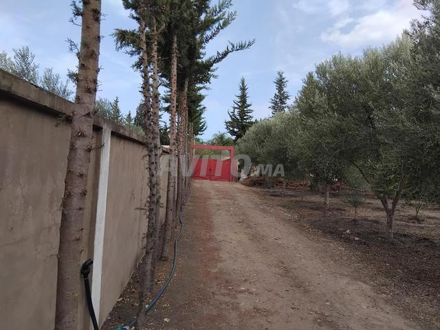 أرض ومنزل - 2