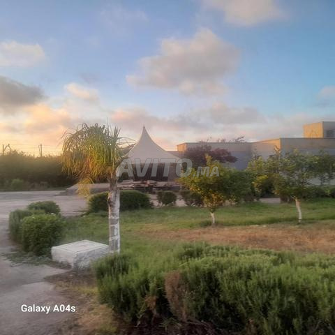 أرض فلاحية
فيلا 400م
مزرعة رائعة للبيع - 2