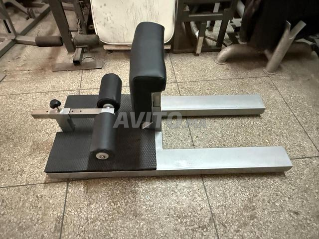 Machine Sissy Squat Professionnelle à vendre - 2