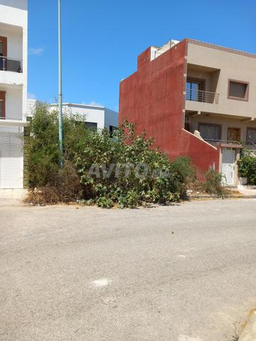 مسار السلام البستان - 2