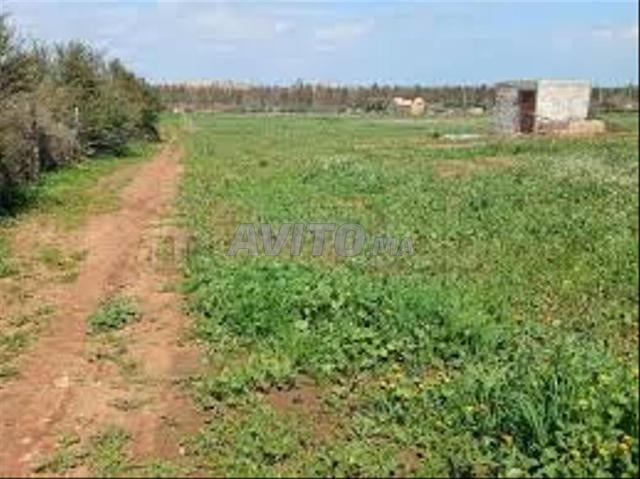 Vente de terrains & fermes titrés – Bir Jdid - 2