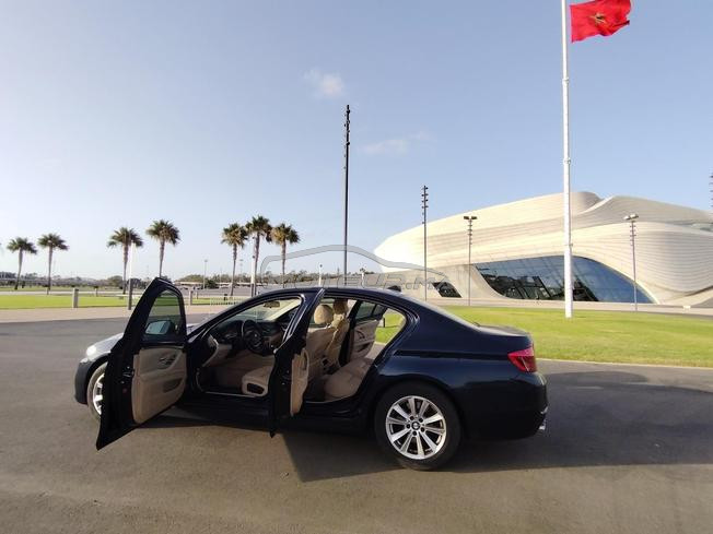 Bmw serie 520D 