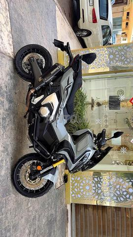Xadv 2022 نقا جديد - 2