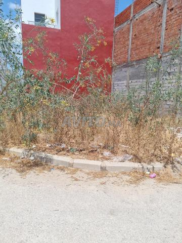 اليمامة سيدي علال البحراوي - 2