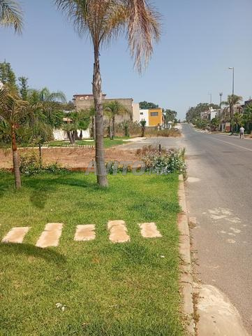 قطع أرض مسجلة 409 متر مربع القنيطرة - 2