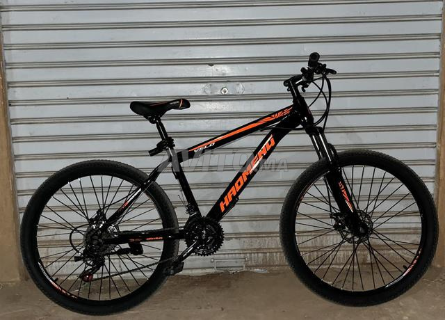 Vélo tout terrain (VTT) - 2