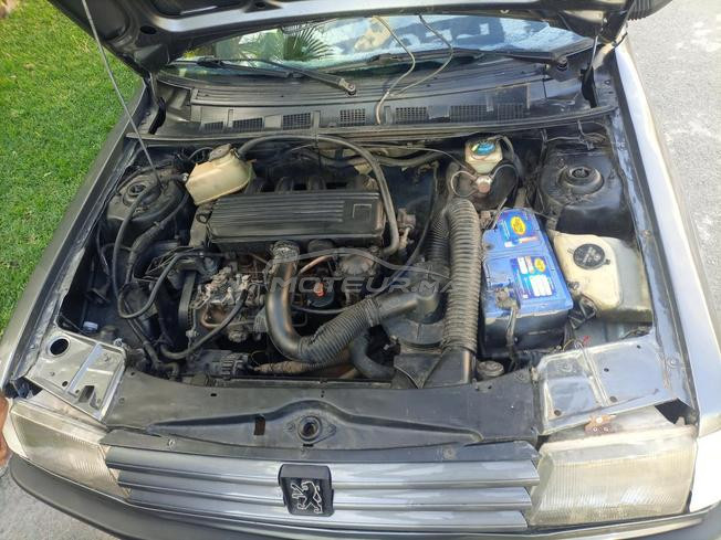 Peugeot 309 Diesel 7ch 