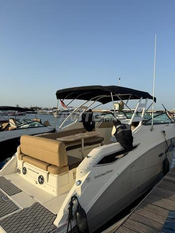 Bateau Searay - 2