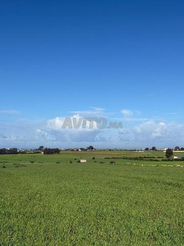Hectare titré vue sur mer à vendre