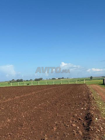 Hectare titré vue sur mer à vendre