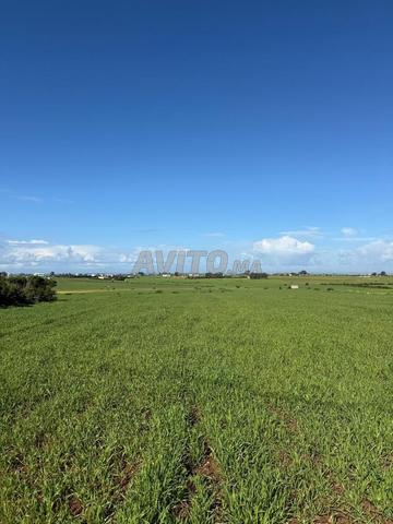 Hectare titré vue sur mer à vendre