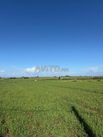 Hectare titré vue sur mer à vendre
