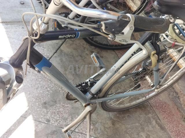 Gazelle top - 2