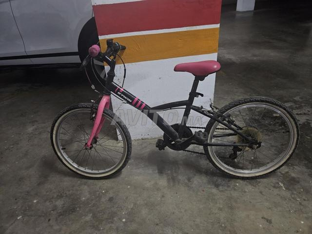 3 vélos et remorque - 2