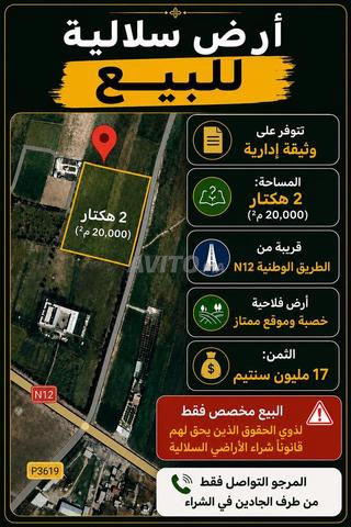 أرض سلالية للبيع قريبة من الطريق الرئيسية N12 - 2