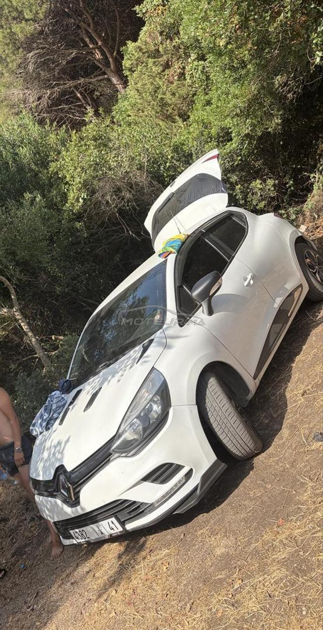 Clio tamn monasib