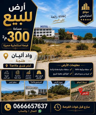 TERRAIN A VENDRE - 2