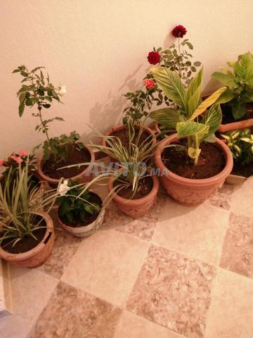 Appartement et conciergerie à louer Beni Mellal