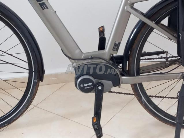 Vello GITANE - 2